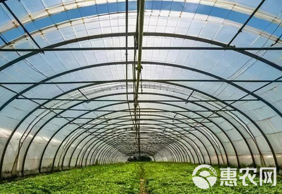 现代温室大棚要素全盘点 从骨架到保暖，一篇文章读懂基建关键